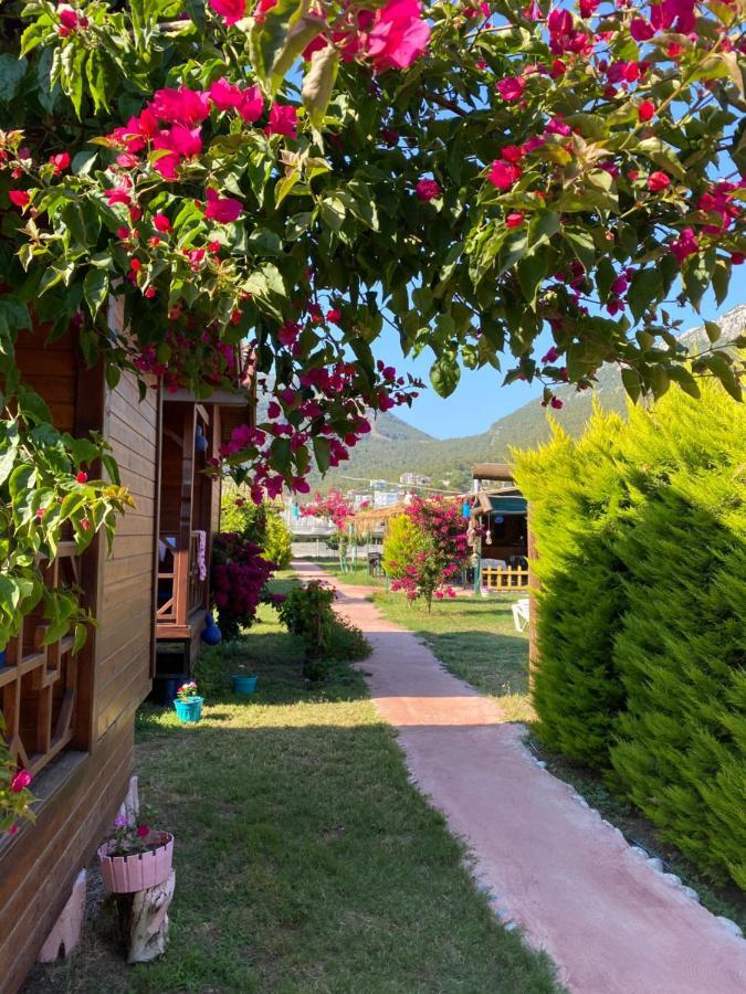 Karaoez Ada Bungalows & Villa Exteriör bild