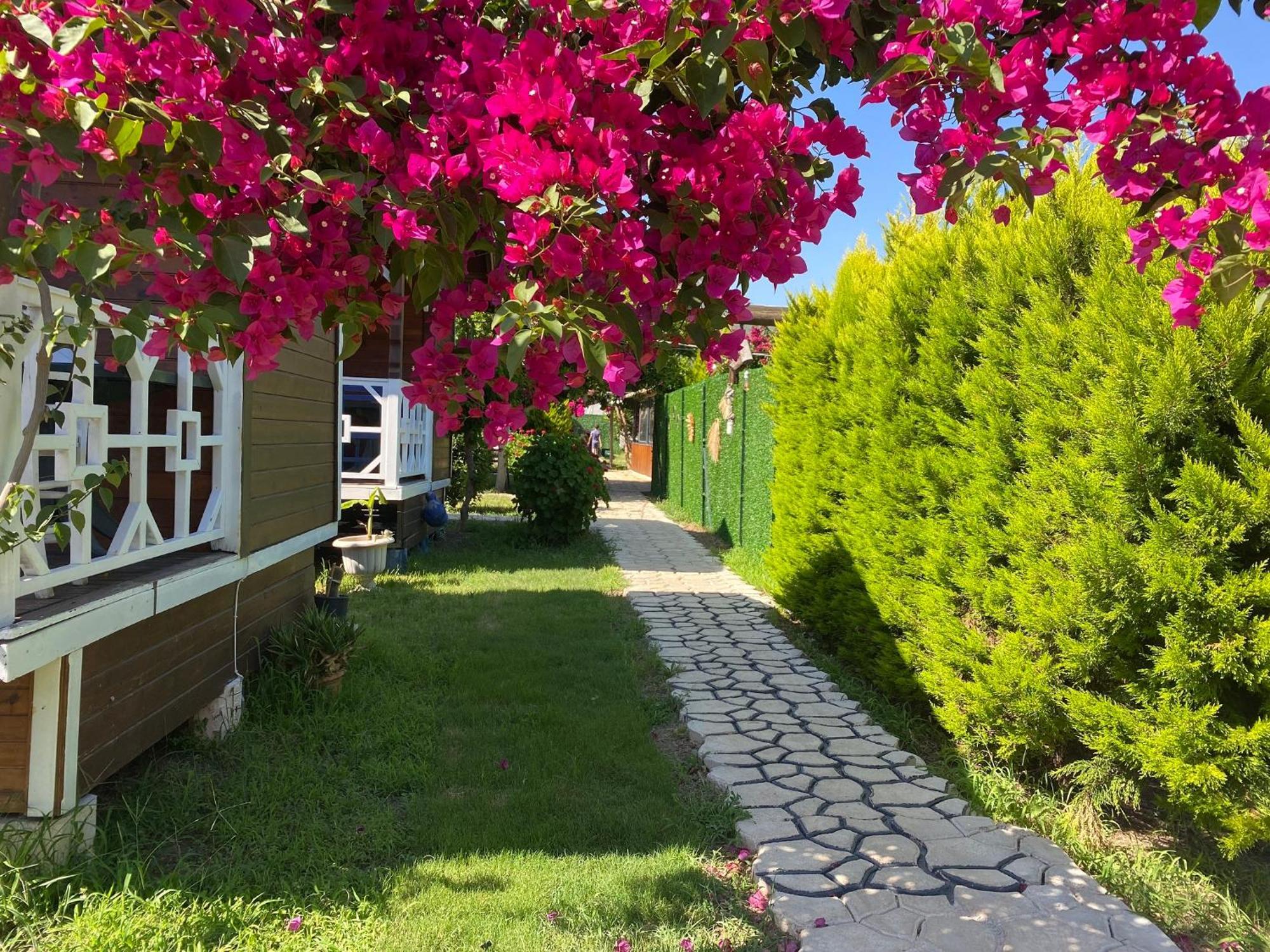 Karaoez Ada Bungalows & Villa Rum bild
