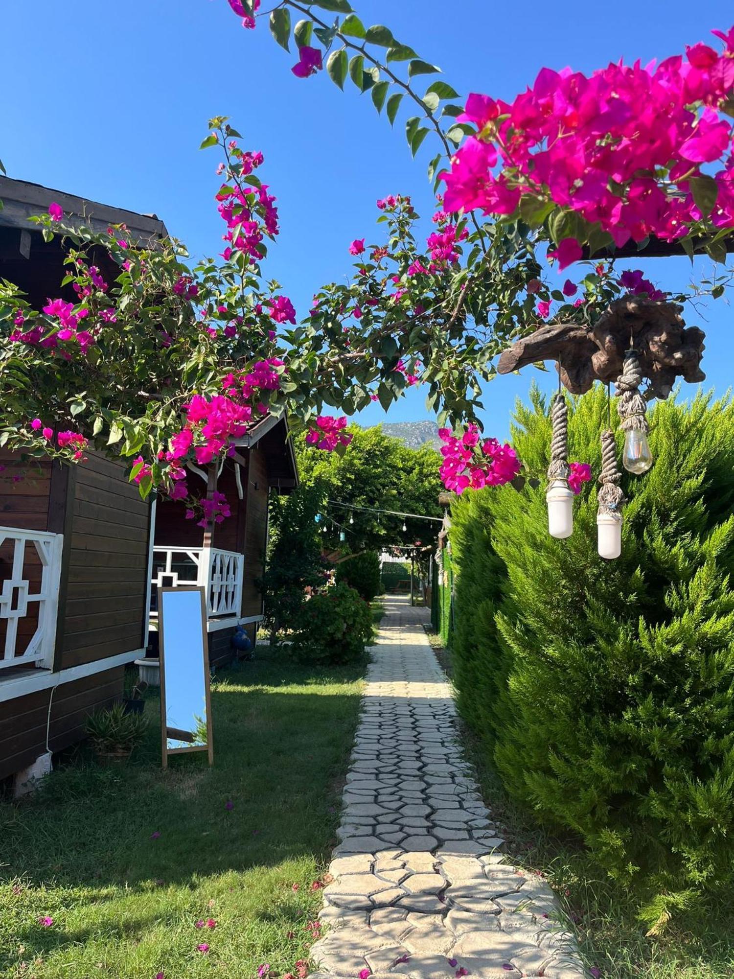 Karaoez Ada Bungalows & Villa Exteriör bild